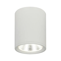 Потолочный светильник Escada 20003SMU/02 LED 12W 4200K белый матовый 