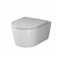 Унитаз подвесной AM.PM Func C8F1700SC,49 см FlashClean с сиденьем микролифт