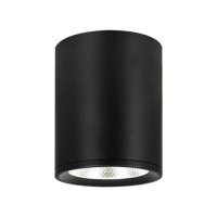 Потолочный светильник Escada 20003SMU/02 LED 12W 4200K черный матовый 